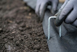 Weed Control